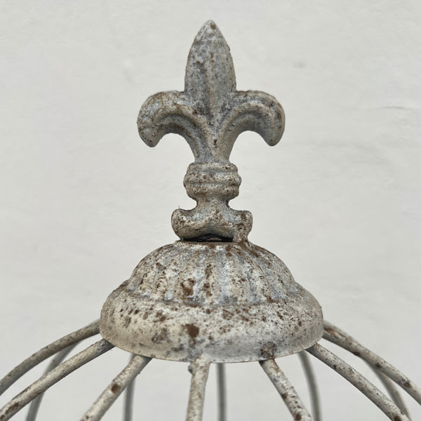 ロングラカージュピック W(UF595)/高さ51.5cm