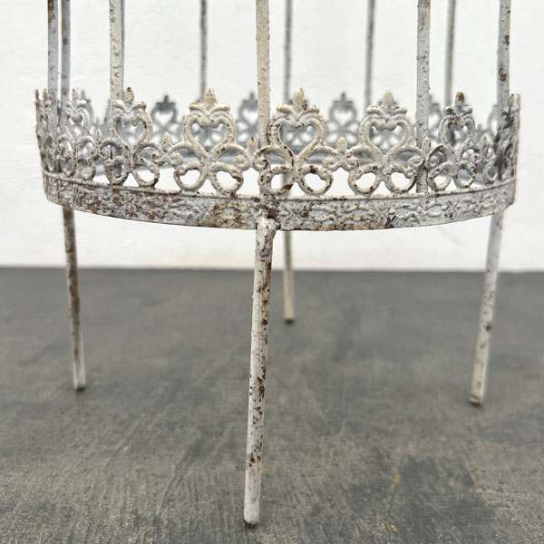 ロングラカージュピック W(UF595)/高さ51.5cm