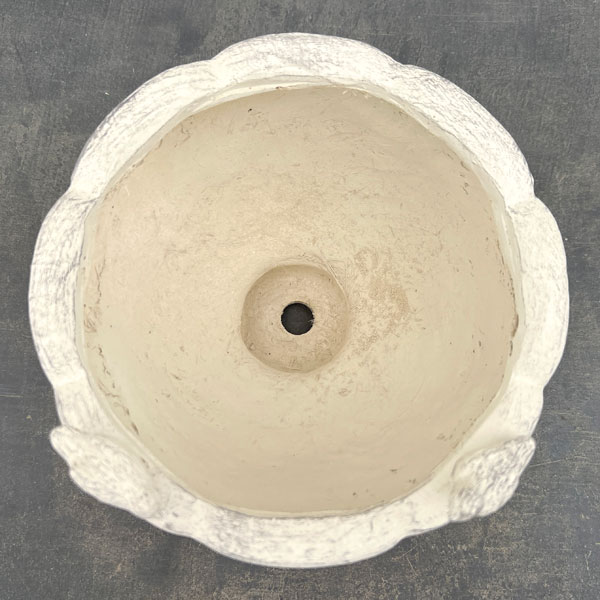 オワゾールポカップSW（GF4997）