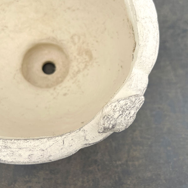 オワゾールポカップSW（GF4997）