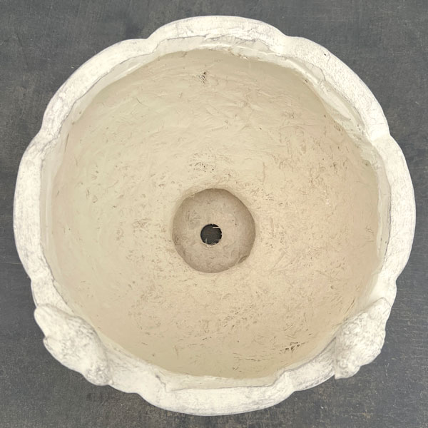 オワゾールポカップMW（GF4998）