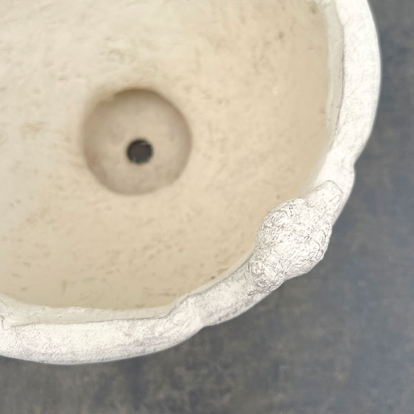 オワゾールポカップMW（GF4998）