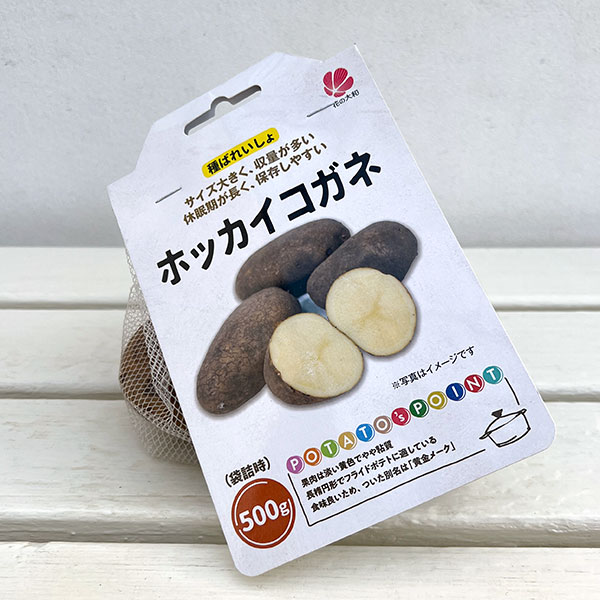 ジャガイモの種いも：ホッカイコガネ500g