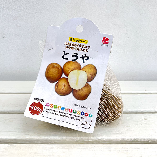 ジャガイモの種いも：とうや500g