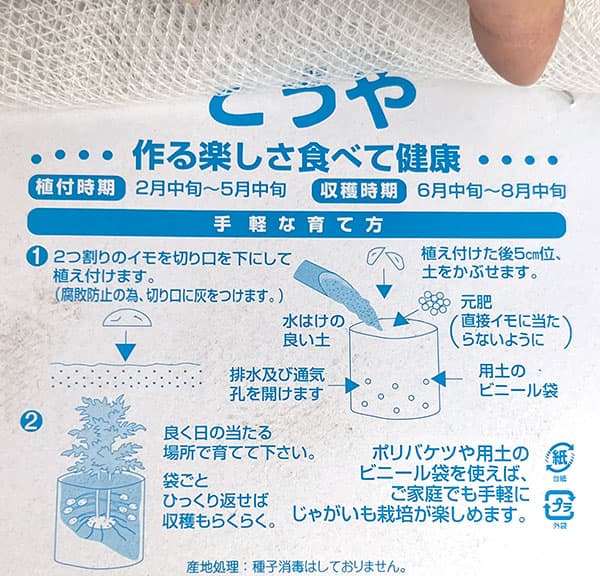 ジャガイモの種いも：とうや500g