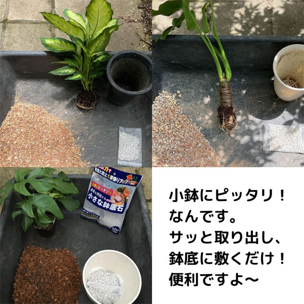 酸素を供給する小さな鉢底石 ネット分包 50ml×6個入り