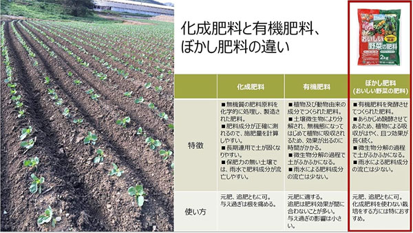 おいしい野菜の肥料2キロ入り