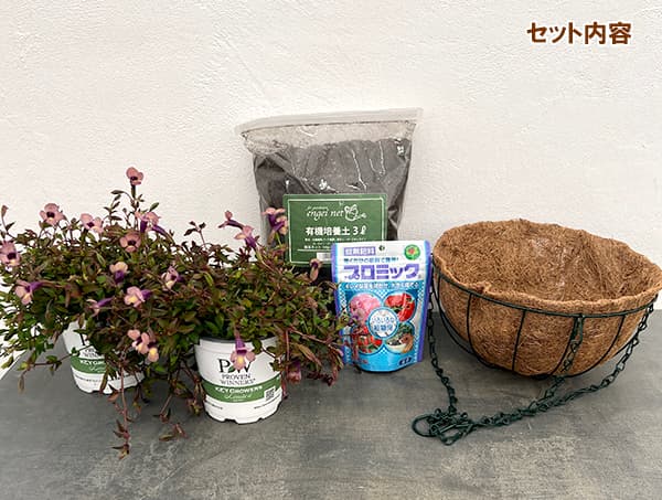 栽培セット:スーパートレニア:カタリーナ ラムレーズン(ハンギングバスケット・土・肥料付)