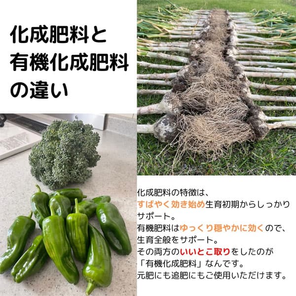 有機化成肥料500グラム入り(8-9-8)
