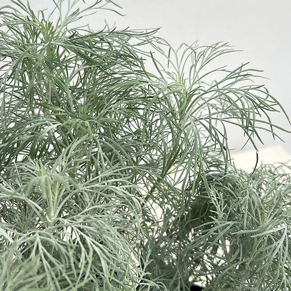 アルテミシア：マカナ　シルバー3号ポット