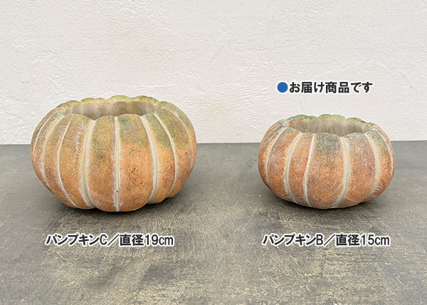 シャンタル　パンプキンB／直径15cm（LC050）