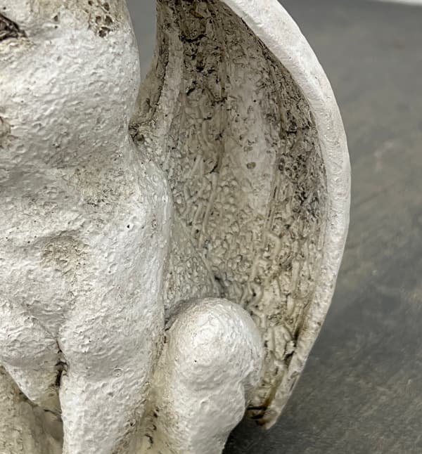 ガーゴイルF／高さ12cm（NG036）