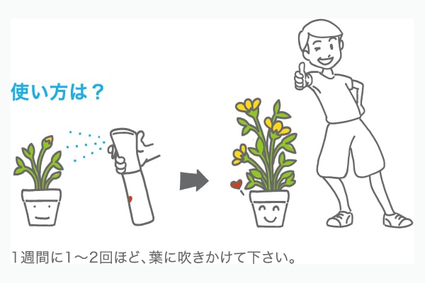 骨太ベース スプレーボトル入 300ml