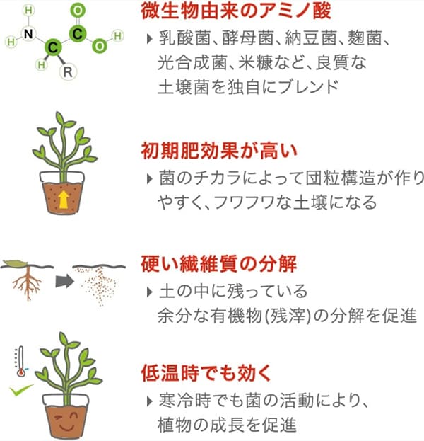 体力ベース テトラパック 30g 2個セット
