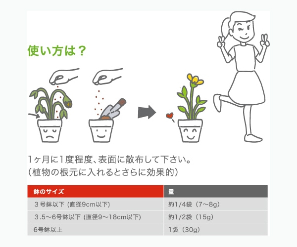 体力ベース テトラパック 30g 2個セット