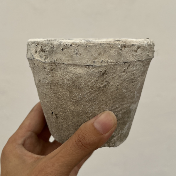 モスポット:カクタスポットホワイトSS（直径10cm×高さ7.5cm）