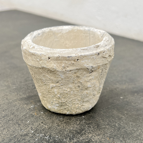 モスポット:カクタスポットホワイトSSS（直径8cm×高さ6.5cm）