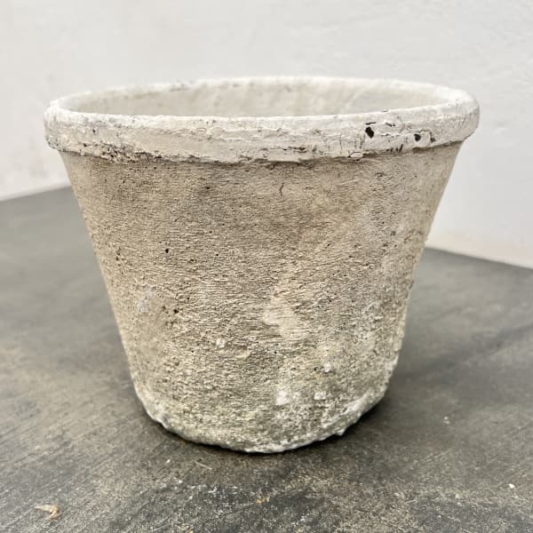 モスポット:カクタスポットホワイトM（直径16cm×高さ12cm）