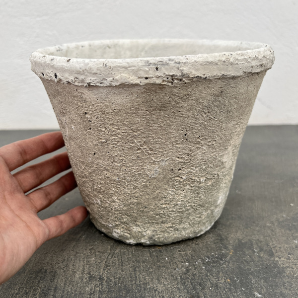 モスポット:カクタスポットホワイトM（直径16cm×高さ12cm）