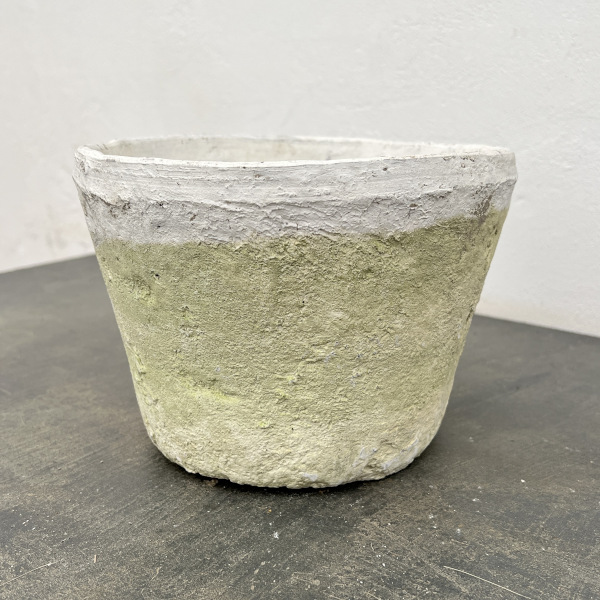 モスポット:カクタスポットホワイトL（直径20cm×高さ15cm）