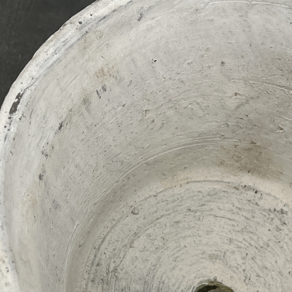 モスポット:カクタスポットホワイトL（直径20cm×高さ15cm）