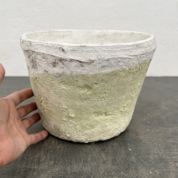 モスポット:カクタスポットホワイトL（直径20cm×高さ15cm）