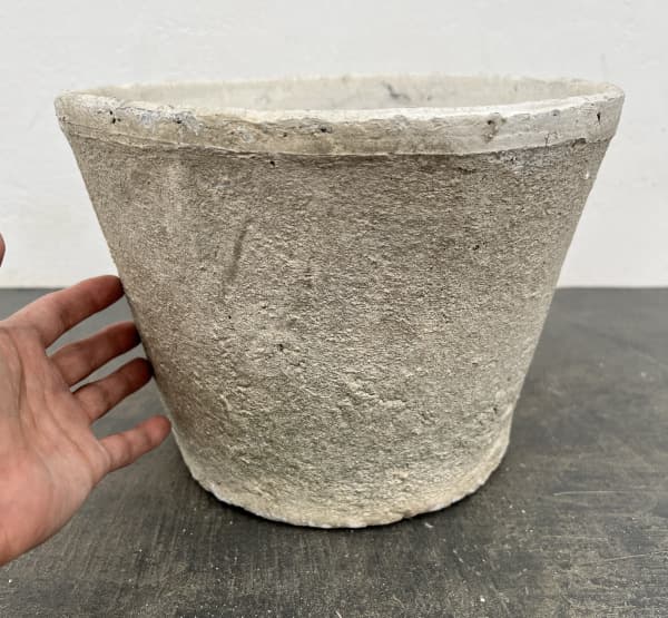 モスポット:カクタスポットホワイトLL（直径25cm×高さ18cm）