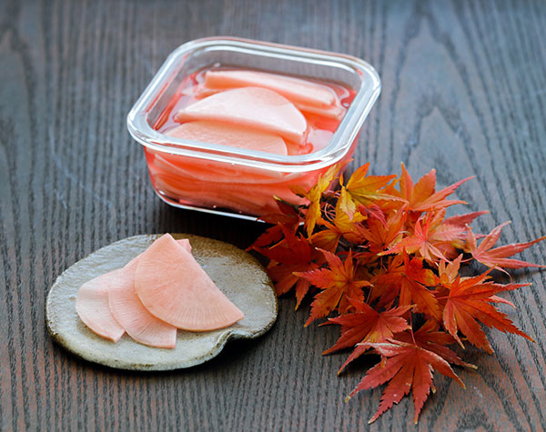 ダイコン：紅園中長（べにそのちゅうなが）[野菜タネ]