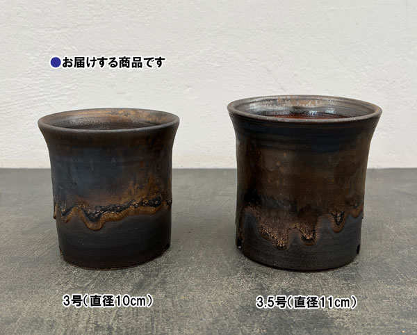 信楽焼き:金彩ラッパ型 3号(直径約10cm)