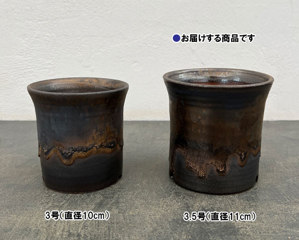 信楽焼き:金彩ラッパ型 3.5号(直径約11cm)