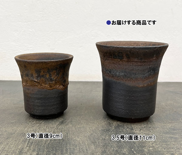 信楽焼き：金彩切立 3.5号（直径約11cm）