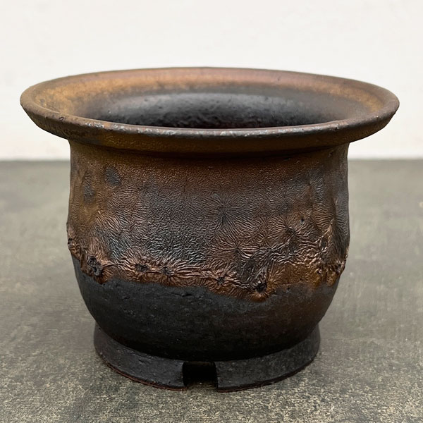 信楽焼き：金彩エン付 3.5号（直径約11cm）