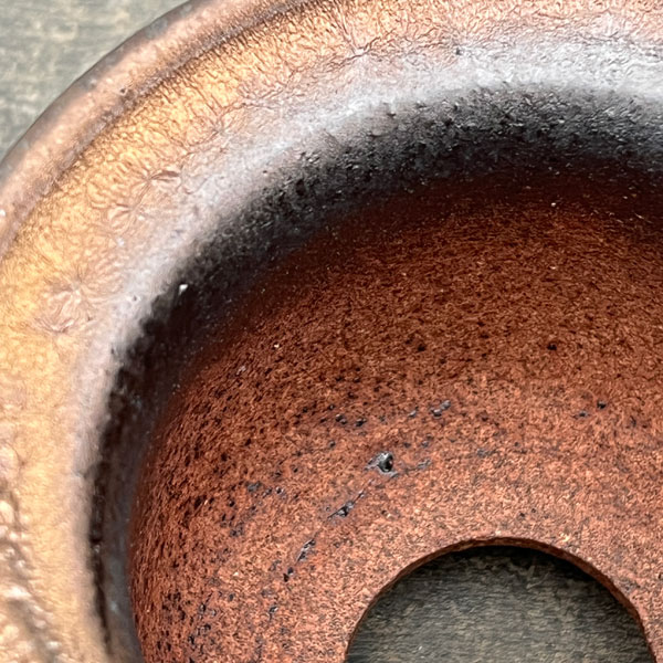 信楽焼き：金彩エン付 3.5号（直径約11cm）