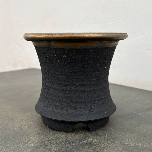 信楽焼き：金彩オモト 5号（直径約15cm）