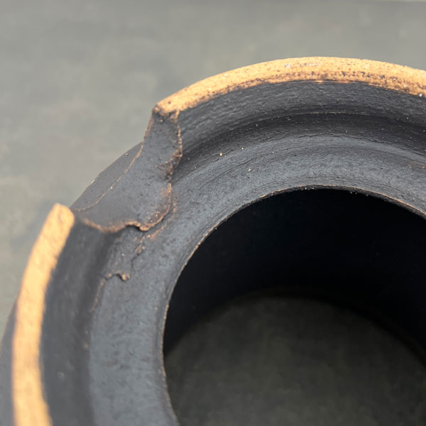 信楽焼き：金彩オモト 5号（直径約15cm）