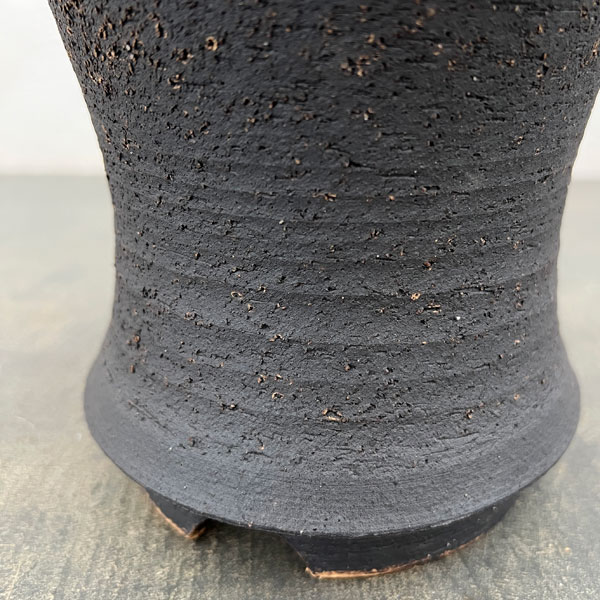 信楽焼き：金彩オモト 5号（直径約15cm）