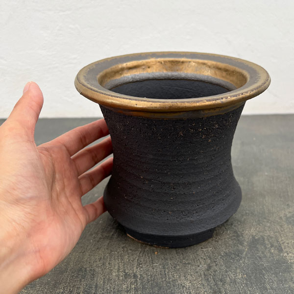 信楽焼き：金彩オモト 5号（直径約15cm）