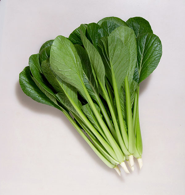 コマツナ（小松菜）種：こいしい菜*[野菜タネ]