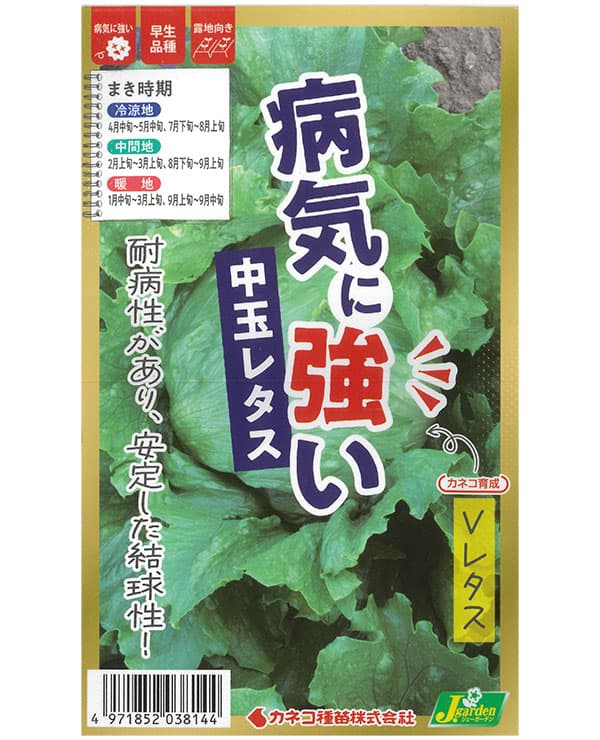 レタス：病気に強い Vレタス[春・夏まき 野菜タネ]*