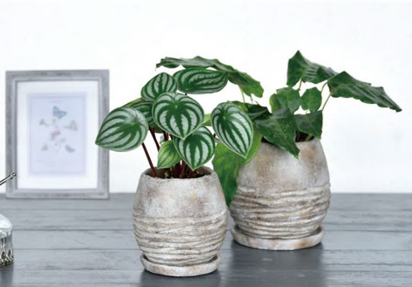 カービーポットCB-4 (直径16.5cm、高さ16cm)