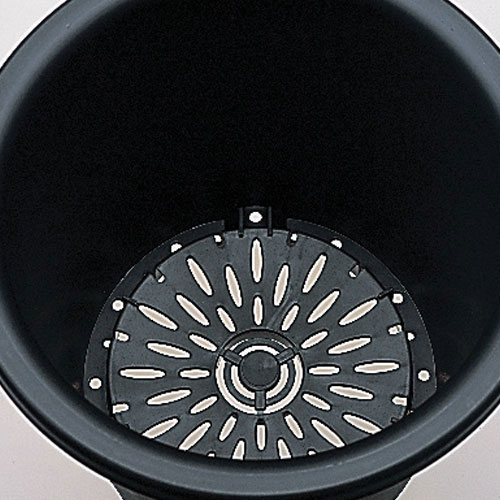 菊鉢10号（直径32cm）ブラック