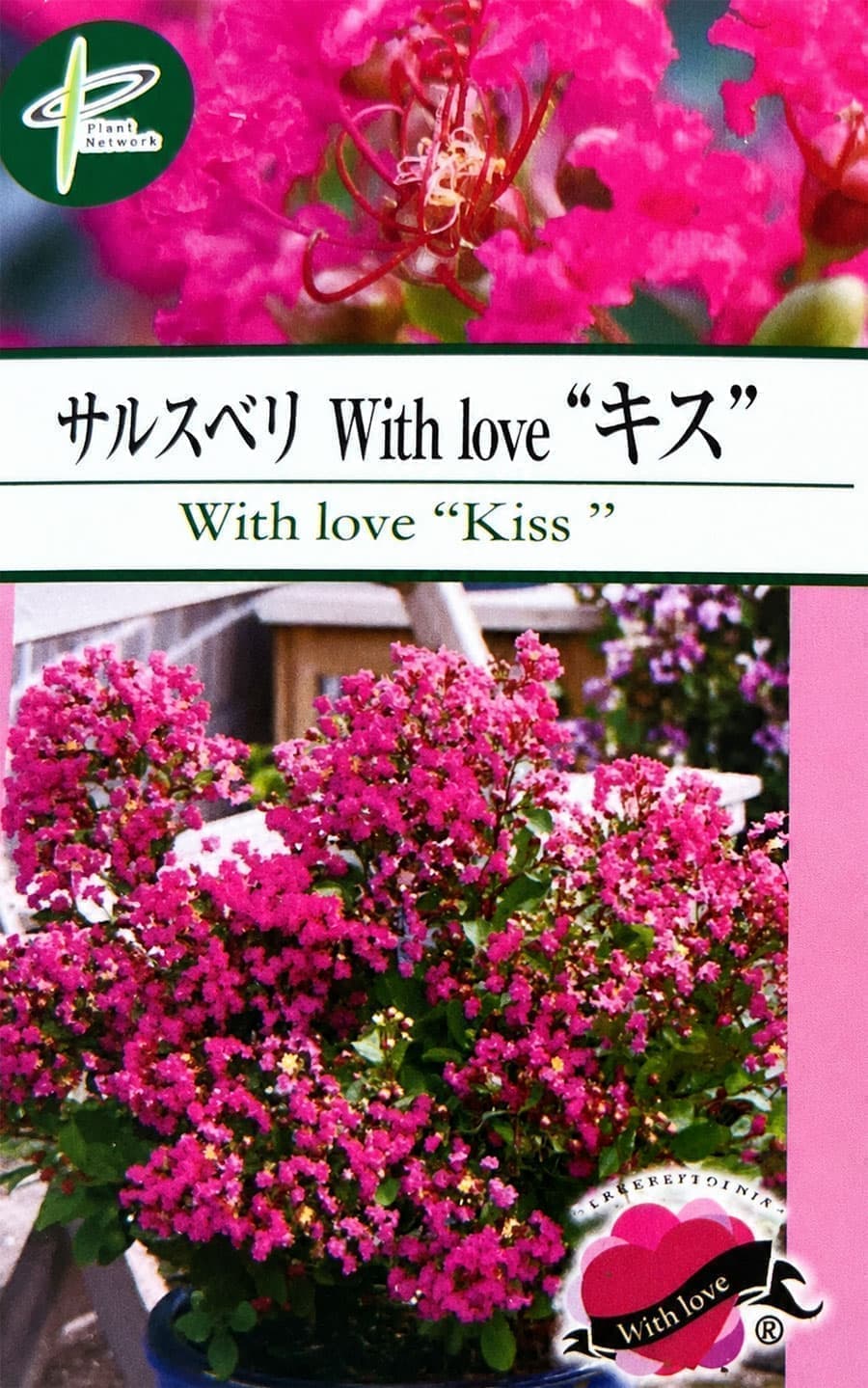 サルスベリ(百日紅):ウィズラブ キッス5号ポット