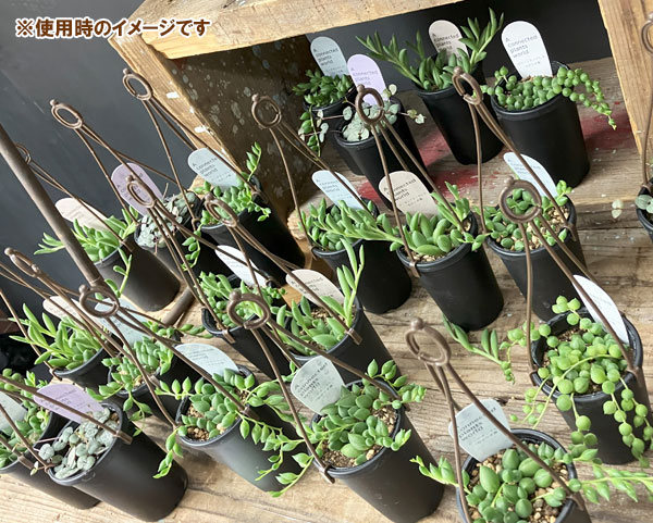ハンギングプラポット:アコプラ 20個セット
