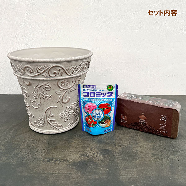 ボールドアラベスク ベーシックLホワイトと土と肥料のセット