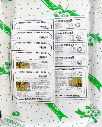 ヒマワリ・コンサートベル10ミリリットル入[タネ 4～8月まき 花が段々で咲く新タイプ 無花粉で切り花にも向く]