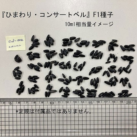 ヒマワリ・コンサートベル10ミリリットル入[タネ 4～8月まき 花が段々で咲く新タイプ 無花粉で切り花にも向く]