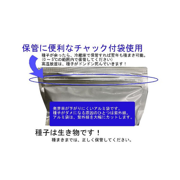 ヒマワリ・ロシア系ひまわり100ミリリットル入[タネ 4～8月まき 大型のひまわり]