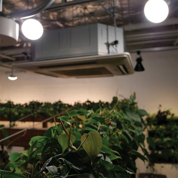 LEDプラントライト:レデコ LPL15WP2K 植物育成用LED パータイプ