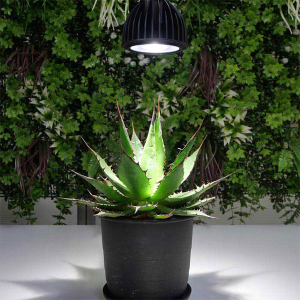 LEDプラントライト:レデコ LPL20WPC32K 植物育成用LED スポットタイプ