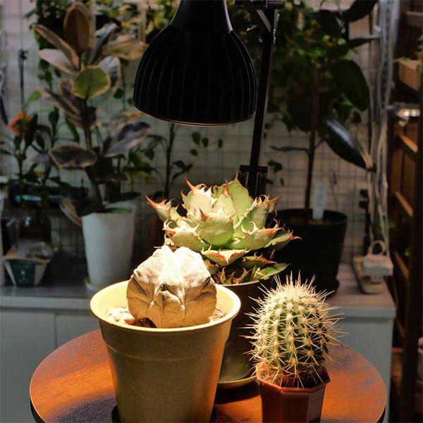 LEDプラントライト:レデコ LPL20WPC32K 植物育成用LED スポットタイプ